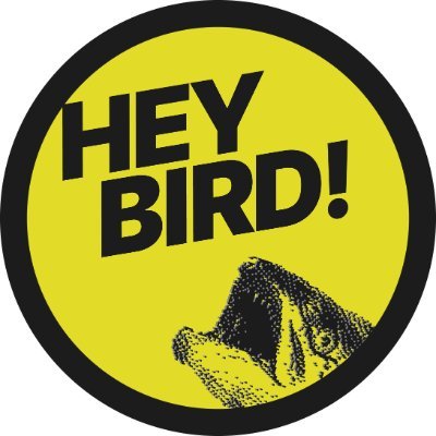 hey bird!