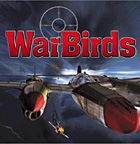 WarBirds III