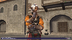 画像集#019のサムネイル/「FFXI アドゥリンの魔境」,開拓活動の支援組織や戦闘システムなど,詳細が明らかになってきた新ジョブ“以外”の情報を一挙公開