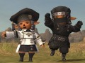 「ファイナルファンタジーXI」,新バトルコンテンツ「ベガリーインスペクター」を含むアップデートを3月26日に実装。一部ジョブのバランス調整も