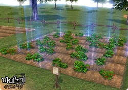 画像集#007のサムネイル/「マビノギ チャプター3～アルケミスト～」開発者インタビューで分かった新要素のあれこれ