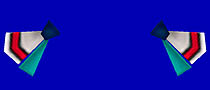#004Υͥ/PSOBBסMAXIMUM ATTACK  Ȣå100!!פ򳫺