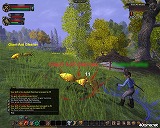Vanguard: Saga of Heroes