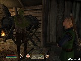 The Elder Scrolls IV: Oblivion