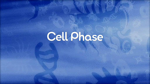Cell Phase