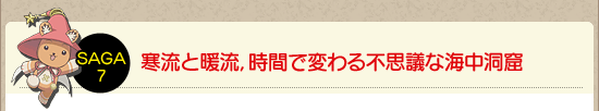 寒流と暖流,時間で変わる不思議な海中洞窟