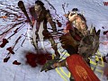 「Age of Conan」プレイレポートその2:興味深い戦闘システムと,Hyboria本土での冒険について紹介