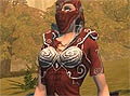 MMORPG「The Chronicles of Spellborn」,ワールドワイド向けオープンβテストがスタート