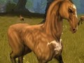 MMORPG「スペルボーン」,日本独自のキャラクタービジュアルとCBT序盤に登場するスキル,モンスターの情報を公開