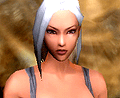 エキサイト,オランダ生まれのMMORPG「スペルボーン」のオープンβテストを2009年12月4日からスタート。併せてキャンペーン情報などを発表