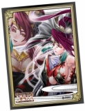 画像集#012のサムネイル/セガ，「三国志大戦スペシャルイベント 秋葉原の宴」を5月19日に実施