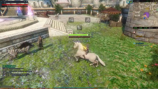 ICARUS ONLINEץץ쥤ࡼӡʥե͡