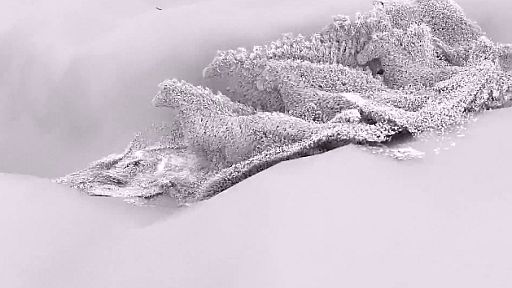 (FluX) Demo: Horse 2013