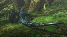 画像集 No.004のサムネイル画像 / 迅竜ナルガクルガが4月27日に狩猟解禁。「モンスターハンターフロンティアG」大型アップデート「G10」の追加情報を公開
