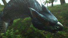 画像集 No.006のサムネイル画像 / 迅竜ナルガクルガが4月27日に狩猟解禁。「モンスターハンターフロンティアG」大型アップデート「G10」の追加情報を公開