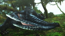 画像集 No.007のサムネイル画像 / 迅竜ナルガクルガが4月27日に狩猟解禁。「モンスターハンターフロンティアG」大型アップデート「G10」の追加情報を公開