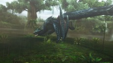 画像集 No.015のサムネイル画像 / 迅竜ナルガクルガが4月27日に狩猟解禁。「モンスターハンターフロンティアG」大型アップデート「G10」の追加情報を公開