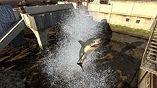 画像集#002のサムネイル/「Alliance of Valiant Arms」,空輸爆破ミッション用の新マップ「SHARK」を8月20日に実装。アップデートの特設サイトもオープン