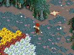 #020Υͥ/֥ȥȡץǥ󥳥ƥ޺ʤо