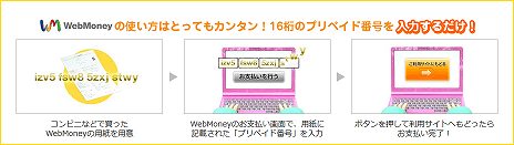 ꡼ No.030Υͥ / Steamޡפν饻ǰͺʤޤȤᡣʺʤ򸫤ĤͤΤˡܡʤƤۤ˺ʤԥåå