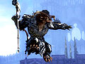 「Guild Wars 2」では,300人規模の大規模戦闘が楽しめる。公式ブログで,サーバー間対戦モードの詳細が明らかに