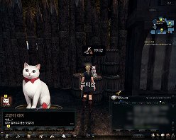 画像集#020のサムネイル/「マビノギ英雄伝」のキャラはこんなところまで作り込まれているのか!? キャラメイクで変更できる項目を細かくチェックしてみた