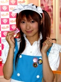 TGS 2007ֳԡ路Υѥ˥ ॷ祦2007