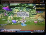 画像集#005のサムネイル/［G★2007＃50］可愛い系横スクロールオンラインRPG「ドラゴニカ」に触れてみた