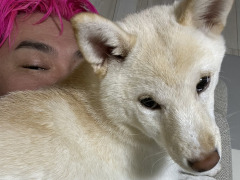 男色ディーノのゲイムヒヒョー ゼロ:第706回「苦労と報酬について」