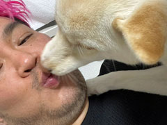 男色ディーノのゲイムヒヒョー ゼロ:第714回「『ハーヴェステラ』という挑戦」