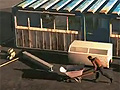 「Counter-Strike Online」韓国サーバーに新モード「Zombie Shelter」が実装。各プレイヤーが“防衛拠点”を築いてゾンビに対抗