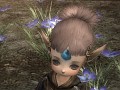 「Wizardry Online」はアップデートとワールド再編でコミュニティを強化。待望の古代魔法と上級職の実装予定にも言及した運営/開発チームインタビュー