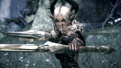 画像集#004のサムネイル/［G★2009］「TERA」のプレス向け進捗報告会が開催。フィードバック重視，妥協は一切しないという開発スタンスを表明