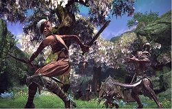 画像集#007のサムネイル/［G★2009］「TERA」のプレス向け進捗報告会が開催。フィードバック重視，妥協は一切しないという開発スタンスを表明