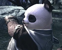 画像集#009のサムネイル/［G★2009］「TERA」のプレス向け進捗報告会が開催。フィードバック重視，妥協は一切しないという開発スタンスを表明