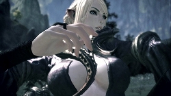 画像集#011のサムネイル/［G★2009］「TERA」のプレス向け進捗報告会が開催。フィードバック重視，妥協は一切しないという開発スタンスを表明