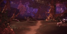画像集#005のサムネイル/「TERA」,8月18日実装の最新アップデート情報が公開。バルデラ特別地区の開放など