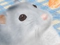 可愛いハムスターと触れ合おう。エイチアイ,「HamTouch!」のiPhone/iPod touch版およびiPad版をリリース