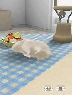 画像集#003のサムネイル/可愛いハムスターと触れ合おう。エイチアイ，「HamTouch!」のiPhone/iPod touch版およびiPad版をリリース