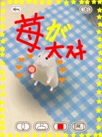 画像集#010のサムネイル/可愛いハムスターと触れ合おう。エイチアイ，「HamTouch!」のiPhone/iPod touch版およびiPad版をリリース