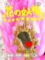 画像集#011のサムネイル/可愛いハムスターと触れ合おう。エイチアイ，「HamTouch!」のiPhone/iPod touch版およびiPad版をリリース