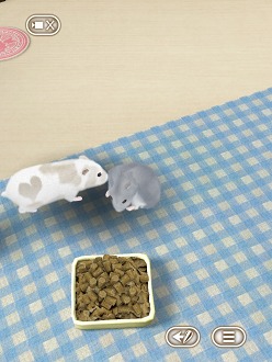 画像集#013のサムネイル/可愛いハムスターと触れ合おう。エイチアイ，「HamTouch!」のiPhone/iPod touch版およびiPad版をリリース