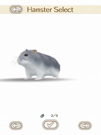 画像集#014のサムネイル/可愛いハムスターと触れ合おう。エイチアイ，「HamTouch!」のiPhone/iPod touch版およびiPad版をリリース
