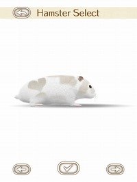 画像集#015のサムネイル/可愛いハムスターと触れ合おう。エイチアイ，「HamTouch!」のiPhone/iPod touch版およびiPad版をリリース