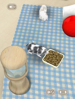 画像集#016のサムネイル/可愛いハムスターと触れ合おう。エイチアイ，「HamTouch!」のiPhone/iPod touch版およびiPad版をリリース