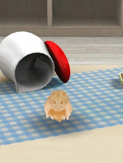画像集#017のサムネイル/可愛いハムスターと触れ合おう。エイチアイ，「HamTouch!」のiPhone/iPod touch版およびiPad版をリリース