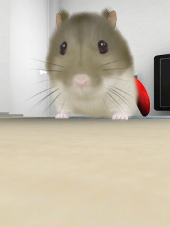 画像集#018のサムネイル/可愛いハムスターと触れ合おう。エイチアイ，「HamTouch!」のiPhone/iPod touch版およびiPad版をリリース