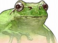 グラスホッパー・マニファクチュア,iPhone用ゲーム「FROG MINUTES」を開発中。本作の収益は被災者への義援金として寄付