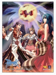 画像集#002のサムネイル/セブン-イレブンで限定特典付き「ラグナロクオンラインDS」の予約受け付け開始