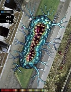 The Last Guy
